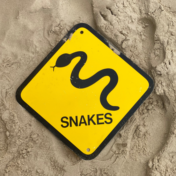 Flags & Signs | Surf Life Saving Queensland
