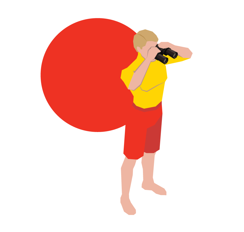 SLSQ---Illustration-Membership---observer