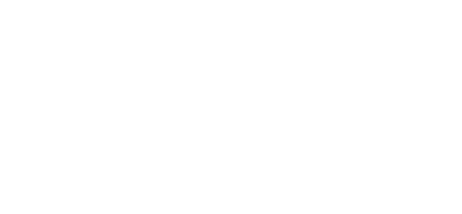 SLSQLD - Always Swim between the flags logo-White-01