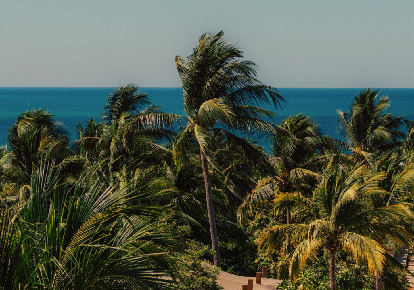 DTS_Escapista_Agustín_Farías_Photo_ID8519
